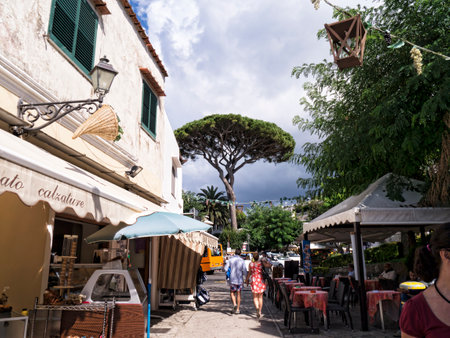 Street in Anacapri n the Island of Capri Italyのeditorial素材