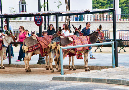Donkey taxis in Mijas one of the most beautiful 'white' villages of Andalucia. It is in the Alpujarra mountains above the coastのeditorial素材