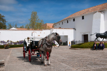 Bullring in Ronda a mountain village in Andalucia sited high above a Gorge in the Mountains above the Costa del Sol in Spainのeditorial素材