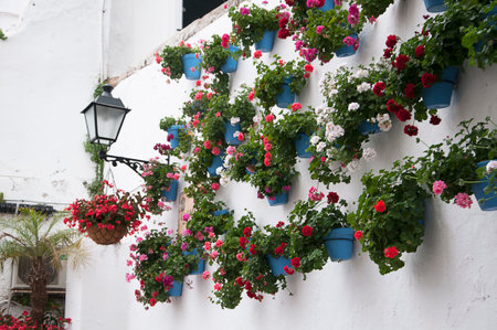Old Town in Marbella on the Costa Del Sol in Spain Europeのeditorial素材