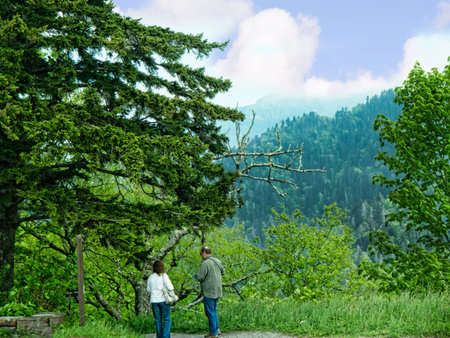 Part of the Appalachian Trail through the Smokey Mountains USAのeditorial素材
