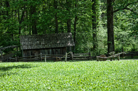 Mabry,mill,grist pond,pool,Blue ridge Parkway,Virginia,USA,flour mill,Brenda Kean,Flowers,のeditorial素材