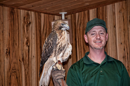 Rescued hawk display at  Chimney Rock State Park North Carolina USAのeditorial素材