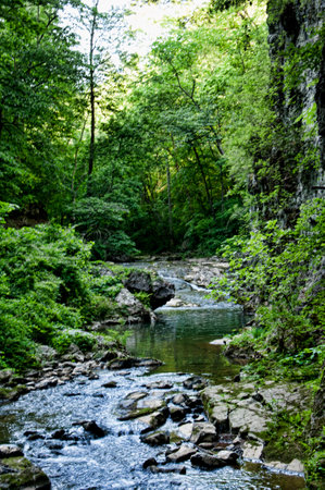 The Natural Bridge in Rockbridge County, Virginia, once owned by Thomas Jefferson, is a geological formation in which Cedar Creek  has carved out a gorgeのeditorial素材