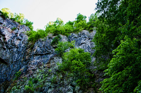 The Natural Bridge in Rockbridge County, Virginia, once owned by Thomas Jefferson, is a geological formation in which Cedar Creek  has carved out a gorgeのeditorial素材
