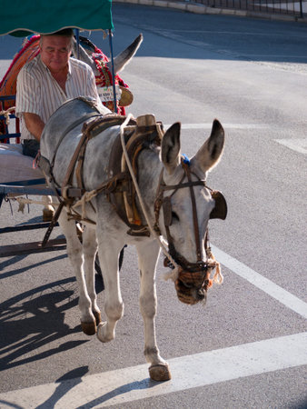 Mijas one of the most beautiful 'white' villages of the Southern Spain area called Andalucia. It is in the Alpujarra mountains above the coastのeditorial素材