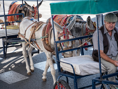 Mijas one of the most beautiful 'white' villages of the Southern Spain area called Andalucia. It is in the Alpujarra mountains above the coastのeditorial素材