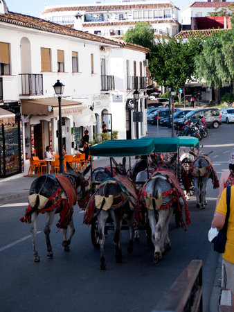 Mijas one of the most beautiful 'white' villages of the Southern Spain area called Andalucia. It is in the Alpujarra mountains above the coastのeditorial素材