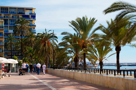 In Marbella is an important beach resort of the Costa del Sol in Spain. The town is famous for once being a playground for the rich and famous.のeditorial素材
