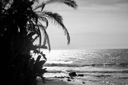 Sunset over the Sea at Marbella in Spainの写真素材