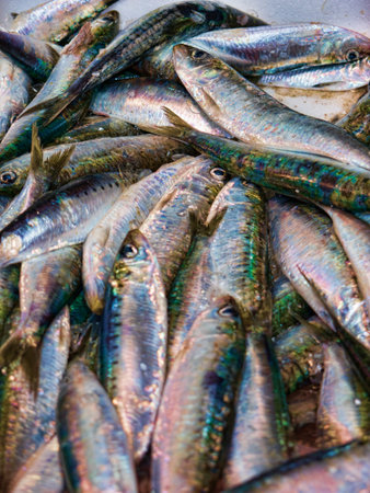 Seafood on the Market in the Stylist Town of Marbella on the Costa del Sol in Andalucia Spain