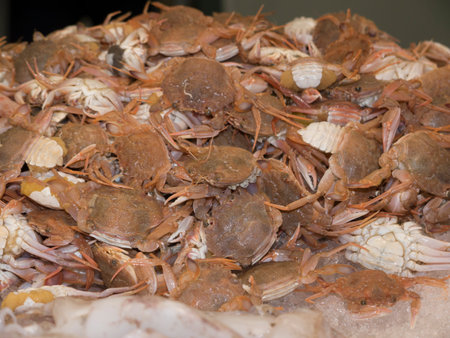 Seafood on the Market in the Stylist Town of Marbella on the Costa del Sol in Andalucia Spain