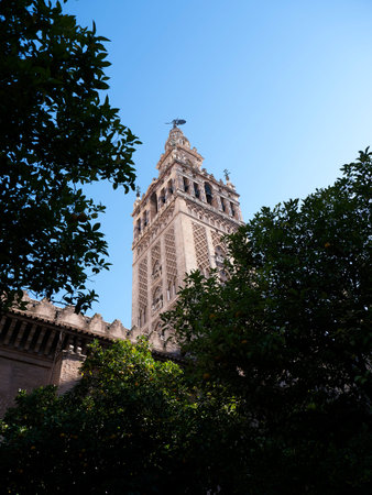Giralda Tower and Cathedral in Seville in Andalucia Spainのeditorial素材