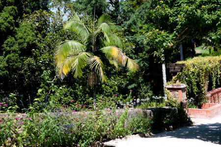 The Monserrate Palace Portuguese: Palcio de Monserrate is an exotic palatial villa located near Sintra, Portugal, the traditional summer resort of the Portuguese courtのeditorial素材