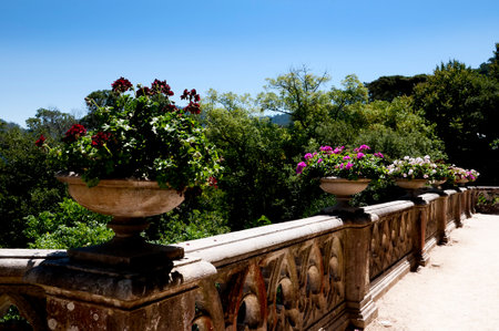 Quinta da Regaleira is an estate located near the historic center of Sintra, Portugal.のeditorial素材