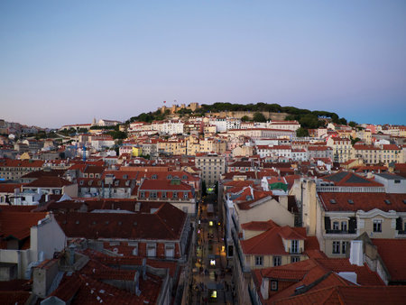 Sao Jorge Castle and the surrounding areas of Castelo and Mouraria.のeditorial素材