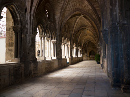 Gothic cloister of Lisbon Cathedral. Each oculum over the twin arches has a different tracery pattern.のeditorial素材