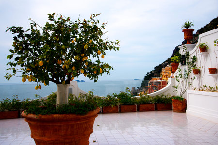 Oranges growing in pot in Positano Italyの写真素材