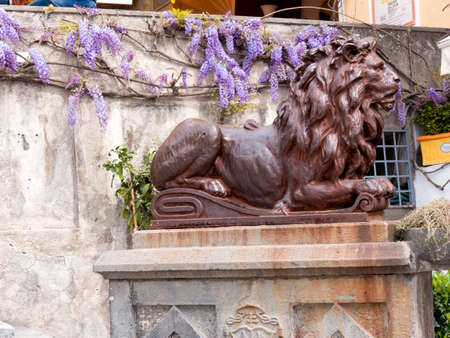 Lion in Positano in Campania Italyの写真素材