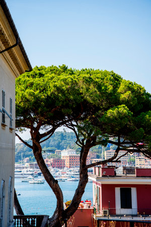 The resort of Santa Margherita in Ligure in Italyのeditorial素材