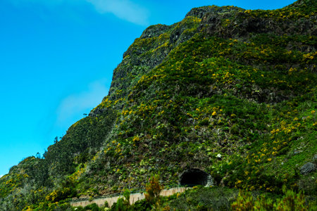 Mountains in the north of the Island of Madeiraのeditorial素材