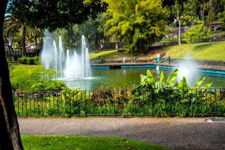 This beautiful park of Santa Catarina is next to the Governor's Palace in Funchal on the Island of Madeira.のeditorial素材