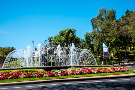 Traffic Island by Santa Catarina Park in Funchal Madeiraのeditorial素材