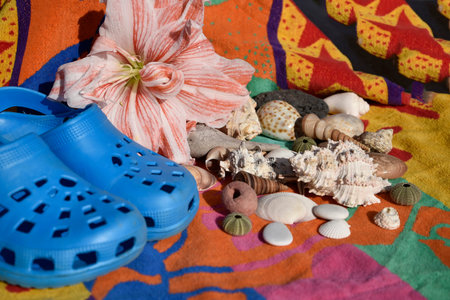 Amaryllis Flower with sandals, shells and beach towelの写真素材