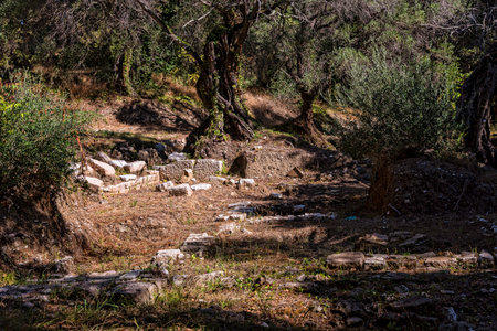 Ruins of an ancient Greek temple complex in the Grounds of the Mon Repos Palace . Corfu Greeceのeditorial素材