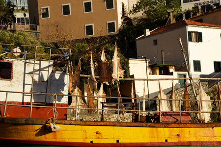Camara de Lobos is believed to be the original landing point for the Portuguese discoverer JoÃ£o GonÃ§alves Zarco, who is credited with the discovery of the Madeira Islandsのeditorial素材
