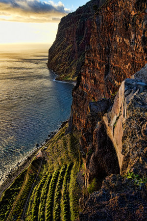 The cliffs at Camara de Lobos near Funchal on the island of Madeiraのeditorial素材