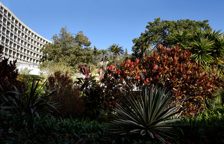 a garden in Funchal on the island of Madeira Portugalのeditorial素材