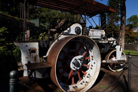 Steam Roller in the Santa Caterina Park overlooking the harbour in Funchal Portugal