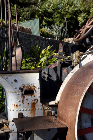 Steam Roller in the Santa Caterina Park overlooking the harbour in Funchal Portugal