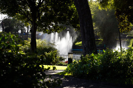 The Santa Caterina Park overlooking the harbour in Funchal Portugalのeditorial素材