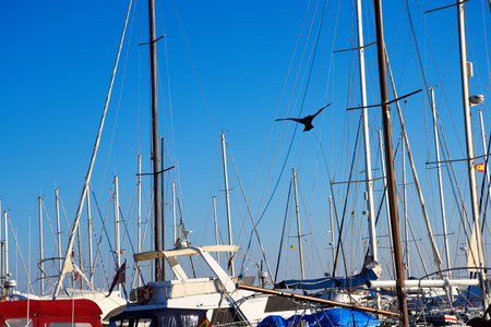 The Marina and port of Fuengirola on the Costa del Sol in Southern Spain