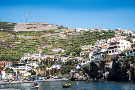 Camara de Lobos is a fishing village near to Funchal on the island of Madeira
