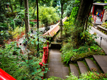 Tropical Garden at Monte above Funchal Madeiraのeditorial素材