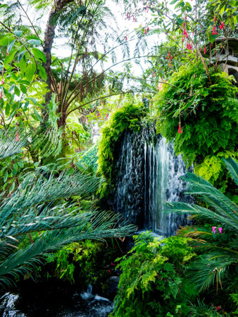 Tropical Garden at Monte above Funchal Madeiraのeditorial素材