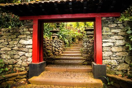 Tropical Garden at Monte above Funchal Madeiraのeditorial素材