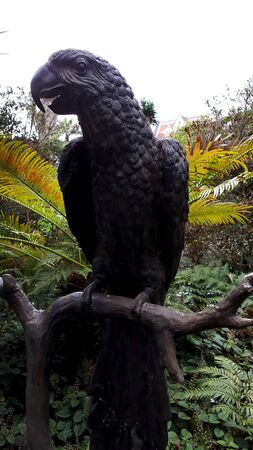 parrot statue in the Tropical Garden at Monte above Funchal Madeiraのeditorial素材