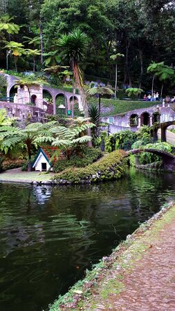 The Tropical Garden at Monte above Funchal Madeiraのeditorial素材
