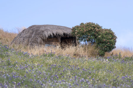 a small indigenous straw home in Ecuador with flowers around