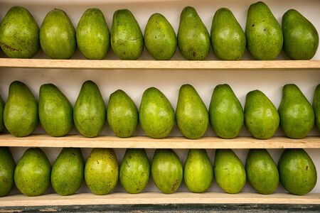 avocado on shelfのeditorial素材