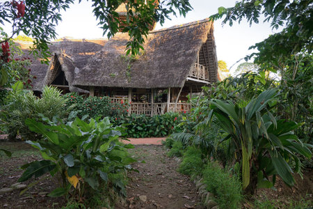 June 6, 2017 Puerto Misahualli: eco lodge built from bamboo in the jungeのeditorial素材