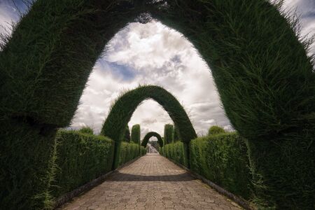 Cypress arches in the famous tourist destination cemetery of the border town Tulcan, Ecuador.の写真素材