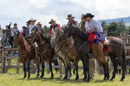 June 10, 2017 Toacazo, Ecuador: cowboys from the Andes called 'chagra' chatting before the rodeo startsのeditorial素材
