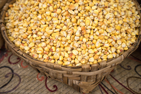 corn is a staple food in latin America