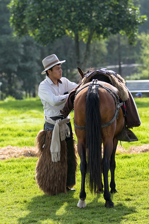 May 27, 2017 Sangolqui, Ecuador: cowboy in the Andes arranging saddle on his horse during a rural rodeo eventのeditorial素材
