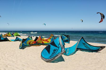 January 25, 2014 Los Barriles, Mexico:  colourful kites lining up on the beach at the 'Lord of the Wind' surf kite competitionのeditorial素材
